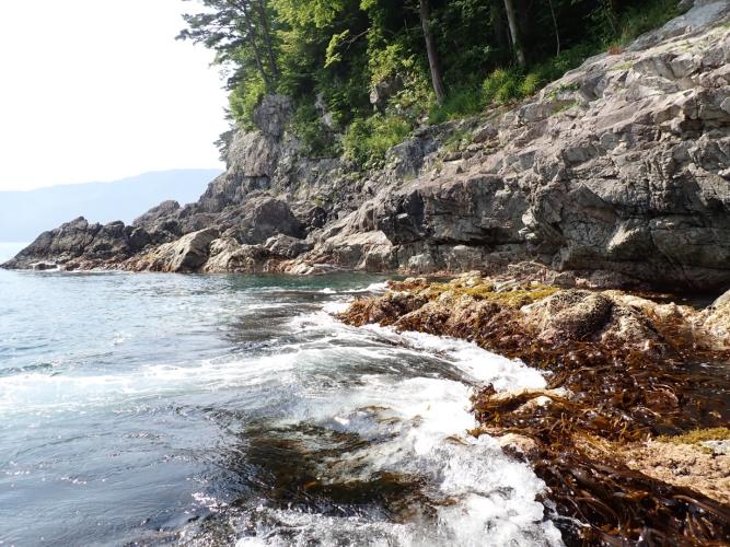 The sheltered inlets are a coastline rich for exploring