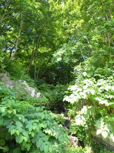 Lush, abundant vegetation is everywhere. Which gives a clue that it must rain a bit too..