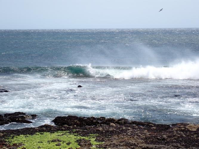 The strong offshore winds kept me at Tomari an extra couple of days.