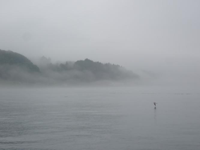 As the fog cleared, it became a beautiful paddle.