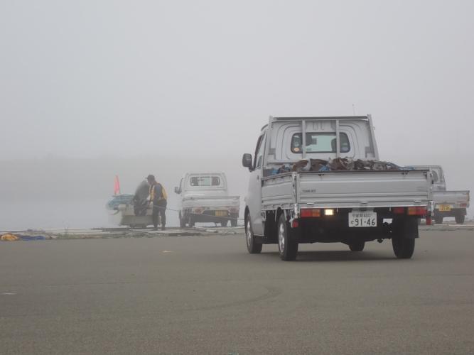 The "kombu" harvest. I should have got a better picture that shows the many (40?) boats and vans.