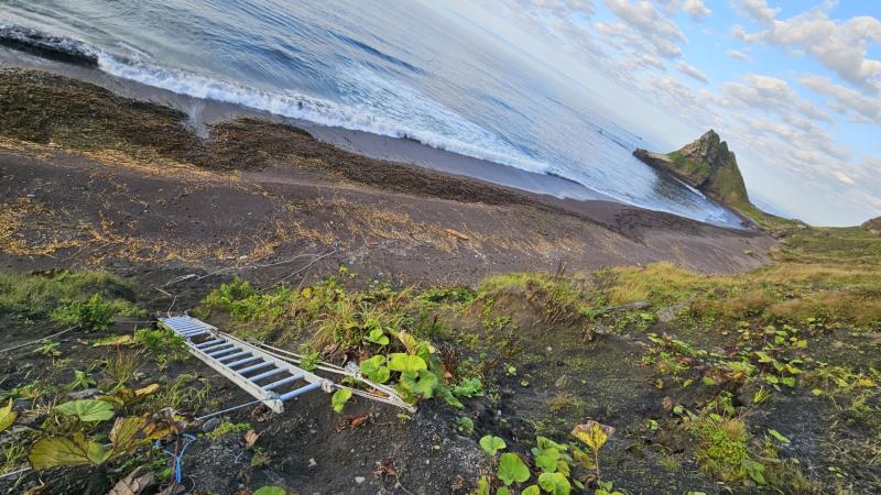 Access to the beach via tied-together ladders!