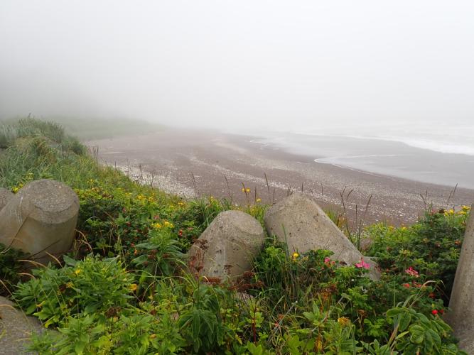 Looking over the port wall toward the familiar wall of fog