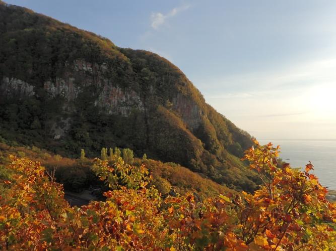 From the lookout at Cape Ofuyu