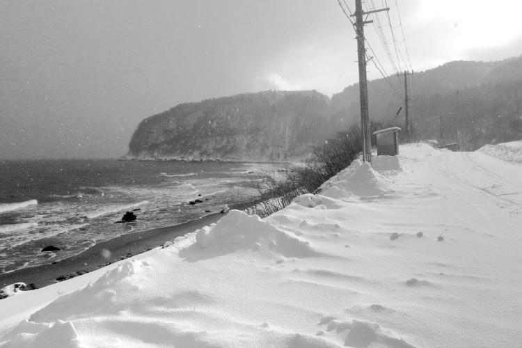 No shortage of snow, but at sea level it had mostly thawed. This picture from further north (near Oma, Aomori)