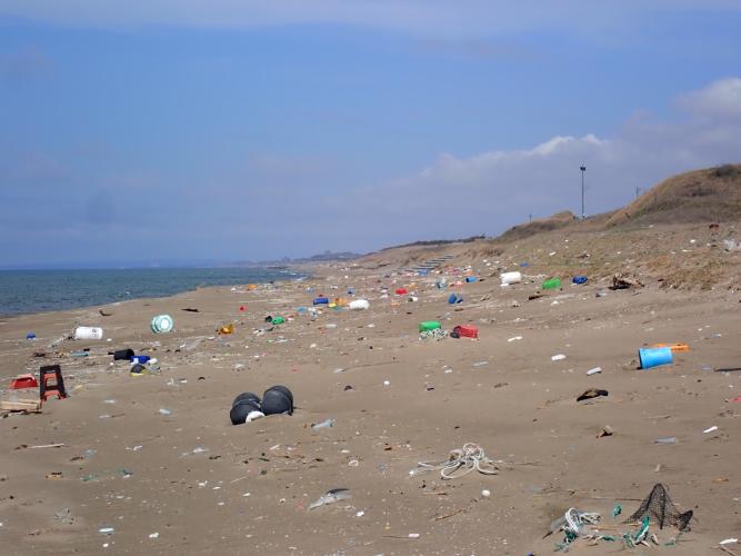 A long sandy bit. The plastic is just how it is in 2025.
