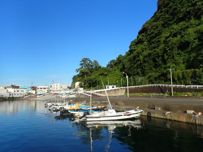 Oshima island port. I slept under the trees and was woken in the morning by the monkeys shaking the branches